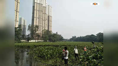 Bikramgarh Jheel In Kolkata : ফের শুরু হতে পারে বিক্রমগড় ঝিলের সংস্কার