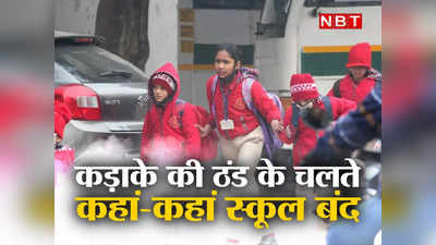 दिल्ली, नोएडा, लखनऊ, बिहार... कड़ाके की ठंड और कोहरे का कहर,  जानिए कहां कब तक बंद हैं स्कूल