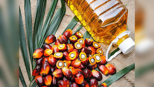 Palm oil price: பாமாயில் விலை தடாலடி உயர்வு.. ஏன் திடீர் ஏற்றம்?