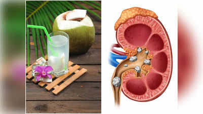 Benefits of Coconut Water: রোজ অন্তত একটা ডাবের জল খান, বহু রোগ কাছে আসার সাহস পাবে না