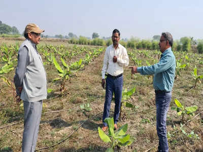 70 हजार का इन्वेस्टमेंट, 15 लाख का रिटर्न... केले से रिटायर बैंक मैनेजर ने हमीरपुर में बदला खेती का तरीका