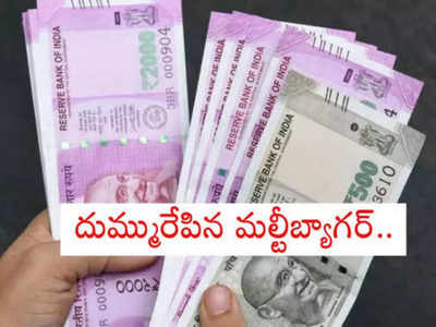 Multibagger Stocks: ఈ స్టాక్‌ మీ దగ్గరుందా? లక్ష ఇన్వెస్ట్ చేస్తే చేతికి రూ. 2 లక్షలు.. భలే లాభం!