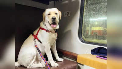 PET In NER Train: पूर्वोत्‍तर रेलवे की ट्रेनों में पालतू जानवरों के लिए होगी विशेष व्‍यवस्‍था, जानिए क्‍या चल रही तैयारी