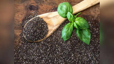 Benefits of Basil Seeds: শুধু পাতা নয়, তুলসীর বীজেও রয়েছে হাজার উপকার! একবার খাওয়া শুরু করলেই হবে ম্যাজিক