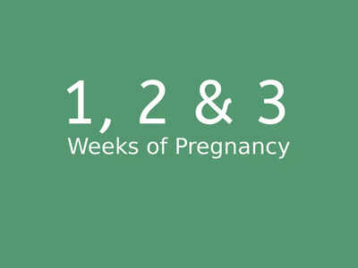 First 3 Weeks Of Pregnancy: ഗർഭകാലത്തെ ആദ്യ മൂന്ന് ആഴ്ചകളെക്കുറിച്ച് അറിയേണ്ടതെല്ലാം