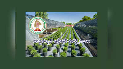 TSPSC HO Application : హార్టికల్చర్ ఆఫీసర్ ఉద్యోగాలకు అప్లికేషన్‌ ప్రాసెస్‌ ప్రారంభం.. లింక్‌ ఇదే