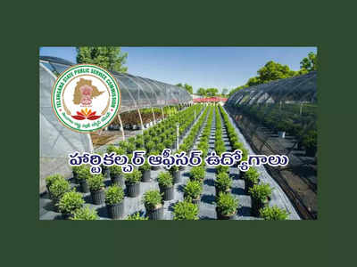 TSPSC HO Application : హార్టికల్చర్ ఆఫీసర్ ఉద్యోగాలకు అప్లికేషన్‌ ప్రాసెస్‌ ప్రారంభం.. లింక్‌ ఇదే