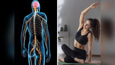How To Make Nervous System Strong: नर्वस सिस्टम बिगड़ने से ठप्प हो जाएगा शरीर, बंद नसें खोल देंगे ये 5 योगासन