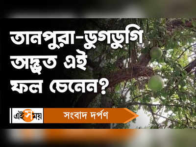 North 24 Parganas: তানপুরা-ডুগডুগি! বিস্ময়কর এই ফল চেনেন