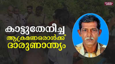 വിലങ്ങാട് കാട്ടുതേനീച്ചകളുടെ ആക്രമണത്തിൽ ഒരാൾക്ക് ദാരുണാന്ത്യം