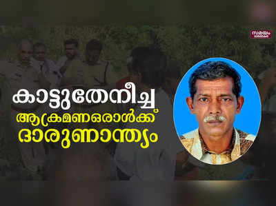 വിലങ്ങാട് കാട്ടുതേനീച്ചകളുടെ ആക്രമണത്തിൽ ഒരാൾക്ക് ദാരുണാന്ത്യം