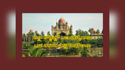 TS High Court : తెలంగాణ జిల్లా కోర్టుల్లో 163 ఉద్యోగాలు.. 10వ తరగతి పాసై ఉంటే చాలు.. దరఖాస్తు చేసుకోవచ్చు