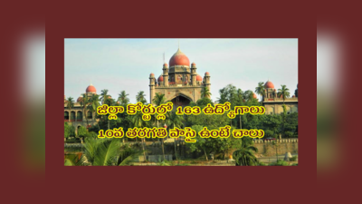 TS High Court : తెలంగాణ జిల్లా కోర్టుల్లో 163 ఉద్యోగాలు.. 10వ తరగతి పాసై ఉంటే చాలు.. దరఖాస్తు చేసుకోవచ్చు 