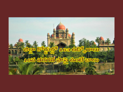 TS High Court : తెలంగాణ జిల్లా కోర్టుల్లో 163 ఉద్యోగాలు.. 10వ తరగతి పాసై ఉంటే చాలు.. దరఖాస్తు చేసుకోవచ్చు
