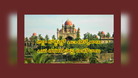 TS High Court : తెలంగాణ జిల్లా కోర్టుల్లో 163 ఉద్యోగాలు.. 10వ తరగతి పాసై ఉంటే చాలు.. దరఖాస్తు చేసుకోవచ్చు 