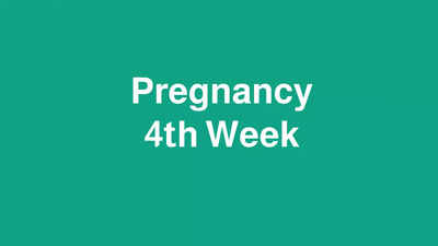 4 Weeks Pregnant: ഗർഭധാരണത്തിലെ നാലമത്തെ ആഴ്ചയിലെ ലക്ഷണങ്ങൾ അറിയാമോ?