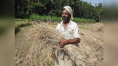 Good News: इतिहास हो जातीं केरल के स्‍थानीय चावल की ये 54 किस्‍में, एक आदिवासी की मेहनत से हैं अब तक सुरक्षित