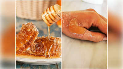 Benefits of Honey: বলে বলে বড় বড় অসুখকে গোল দেয় মধু, সুস্থ থাকতে রোজ খান