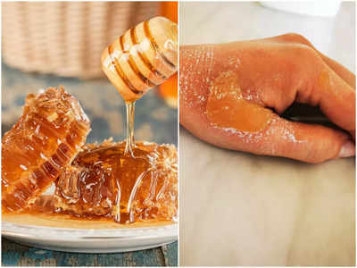 Benefits of Honey: বলে বলে বড় বড় অসুখকে গোল দেয় মধু, সুস্থ থাকতে রোজ খান
