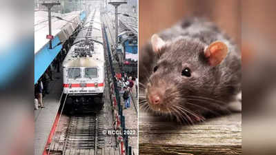 देर रात एक चूहे के चक्कर में रुकी रही पूरी ट्रेन, जांच के बाद सामने आया हंसाने वाला सच