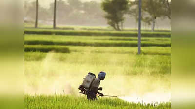 Budget 2023 Fertiliser Sector: বাজেটে সুখবরের প্রত্যাশায় সার মহল, বড় ঘোষণা করতে পারে কেন্দ্র