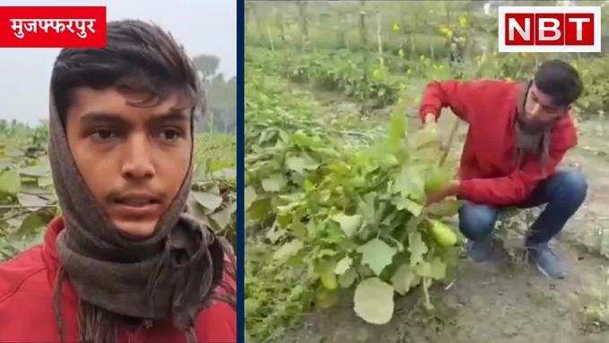 मुजफ्फरपुर: किसान पिता का किसान बेटा, राष्ट्रीय उद्यान रत्न अवार्ड के लिए हुआ चयन, Watch Video