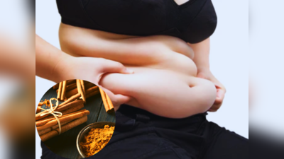 Weight Loss Home Remedy: किचन की ये 6 चीजें हैं असली Fat Burner, खाते ही बर्फ की तरह पिघलने लगेगी सारी चर्बी