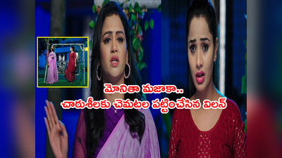 Karthika Deepam Today:‘నువ్వు కార్తీక్‌కి ట్రై చేస్తున్నావా?’ మోనిత దెబ్బకు చారుశీలకి దిమ్మతిరిగిపోయేనే