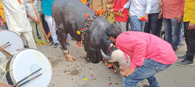 रेड्याच्या मालकांचं आवाहन