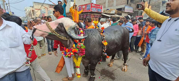 रेड्याची मिरवणूक