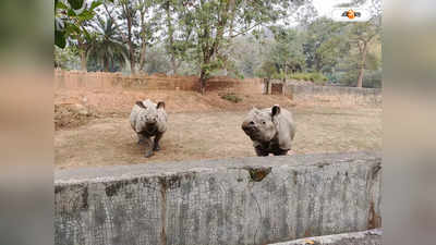 Assam State Zoo : ঠান্ডায় কাঁপছে উত্তরপূর্ব ভারত, চিড়িয়াখানার প্রাণীদের গরম রাখতে হিটার বসল গুয়াহাটিতে