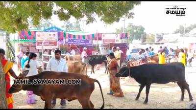 கரூர் மாவட்டம் க.பரமத்தி அருகே சிறப்பு கால்நடை சுகாதார விழிப்புணர்வு முகாம் நடைபெற்றது.