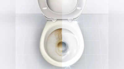 Toilet Cleaner देंगे कमाल का रिजल्ट, टॉयलेट को बना सकते हैं चमकदार और कीटाणुमुक्त