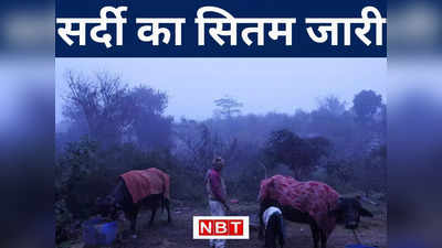Bihar Weather Forecast: बिहार में धूप के साथ कड़ाके की ठंड, हवा में हाड़ कंपा देने वाली कनकनी, जानिए मौसम अपडेट