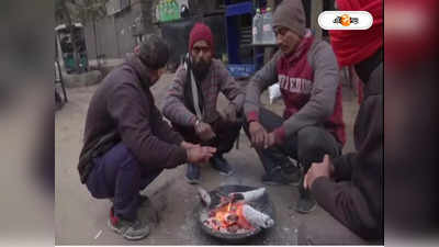 Delhi Cold Wave: পারদ নামল ২ ডিগ্রির নীচে, কুয়াশায় দৃশ্যমানতা কমায় রাজধানীতে ব্যাহত উড়ান ও রেল পরিষেবা