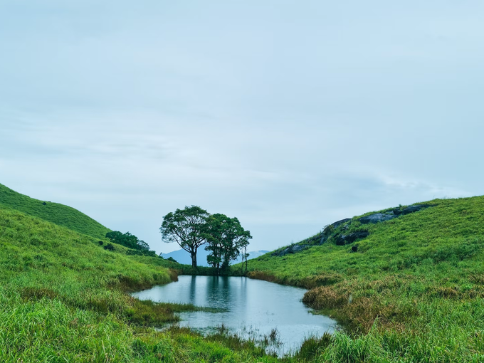 ചെമ്പ്ര കൊടുമുടി