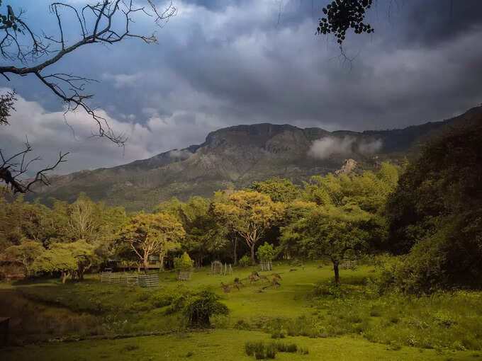 നീലഗിരി ഗ്രീന്‍ ലേക്ക് ട്രെക്ക്