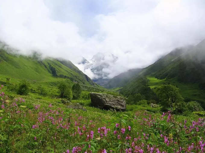 फूलों की घाटी - Valley of Flowers