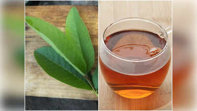 Benefits of Guava Leaf Tea: এবার থেকে পেয়ারা পাতার চা পান করুন রোজ, উপকার জানলে চমকে উঠবেন আপনি