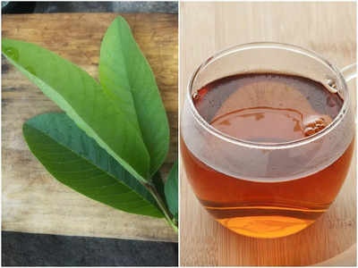 Benefits of Guava Leaf Tea: এবার থেকে পেয়ারা পাতার চা পান করুন রোজ, উপকার জানলে চমকে উঠবেন আপনি