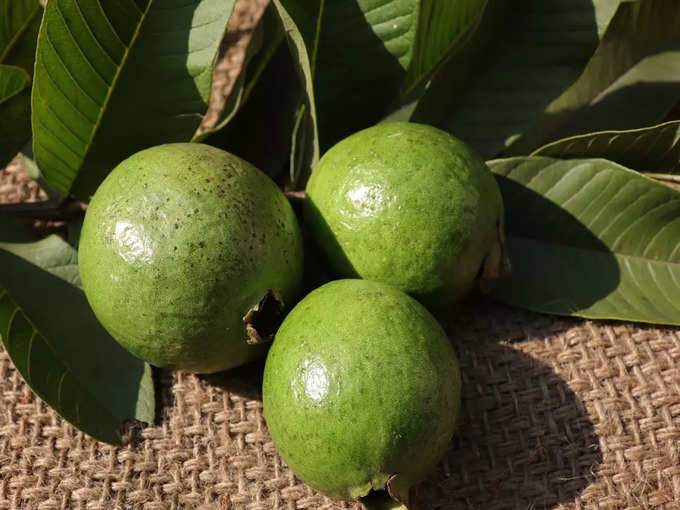 Benefits of Guava Leaf Tea