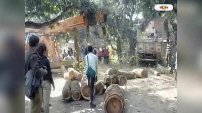 Deganga Illigal Wood Recovery : দেগঙ্গায় অবৈধ মিল বন্ধ করল বন দফতর, বাজেয়াপ্ত প্রচুর পরিমাণ কাঠ
