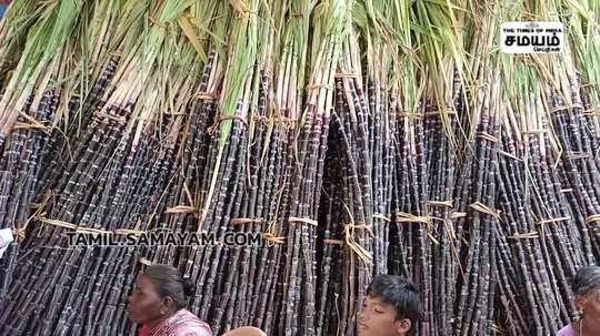 பொங்கல் பரிசு தொகுப்பு வழங்கும் நிகழ்ச்சி மாவட்ட ஆட்சியர் துவக்கி வைத்தார்.