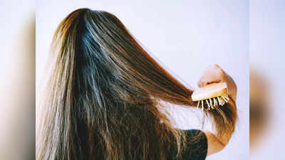 Winter Hair Care: শীতে আপনার চুল ঝাঁটার শলার মতো, সব সময় জট? এই ৩ কাজেই হাল ফিরবে, জেল্লা দেখে লাগবে তাক