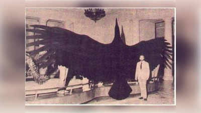 Jatayu Bird Argentavis : जटायु की कहानी... अर्जेंटीना के आसमान में राज करता था हवाई जहाज जितना बड़ा पक्षी, राक्षस जैसा था आकार
