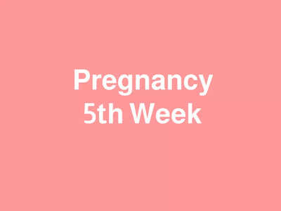 5 Weeks Pregnant: അമ്മയ്ക്കും കുഞ്ഞിനും സംഭവിക്കുന്ന മാറ്റങ്ങൾ