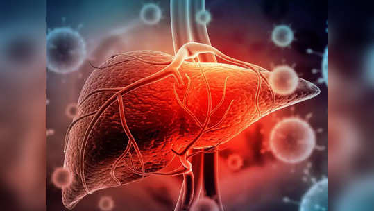 Signs Of Liver Failure: ഈ ലക്ഷണങ്ങൾ ഉണ്ടെങ്കിൽ നിങ്ങളുടെ കരൾ തകരാറിലായിരിക്കും, ശ്രദ്ധിക്കുക