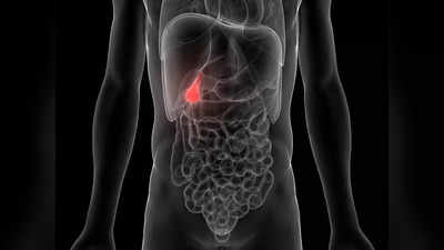 Symptoms Of Gallbladder Cancer: এই লক্ষণগুলিই জানিয়ে দেয় আপনার গলব্লাডারে হয়েছে কর্কট রোগ, সতর্ক থাকুন