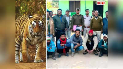 MP News: बाघ की मौत में 5 शिकारी गिरफ्तार, पन्ना टाइगर रिजर्व में करंट लगाकर किया था टाइगर और हायना का शिकार