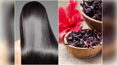 Hibiscus Hair Mask: কুচকুচে কালো ও ঘন চুল পাবেন ২ সপ্তাহেই, জবার সঙ্গে এই উপাদান মিশিয়ে মাথায় লাগালেই হবে